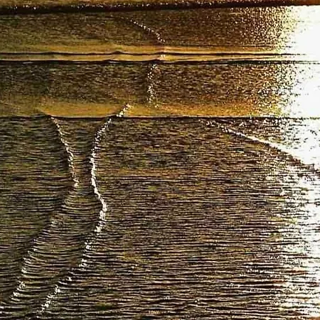 Waves *